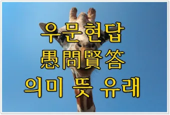 우문현답 뜻 유래 의미 사용 방법_4