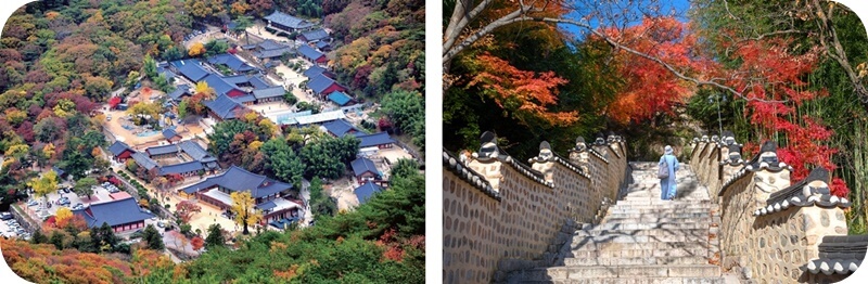 부산-범어사-단풍-명소-항공뷰-전경