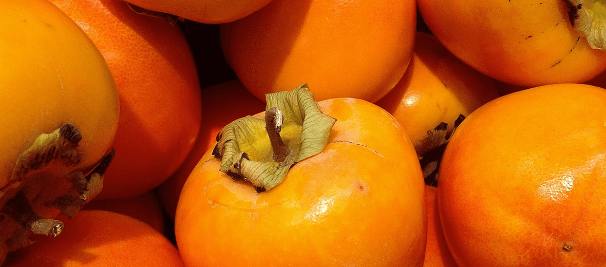 감식초 효능과 관련 된 사진 - 8