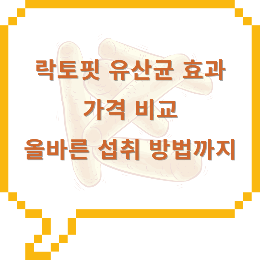 락토핏 유산균 효과 및 가격 비교, 올바른 섭취 방법까지