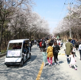 경기도 3월 4일 축제일정