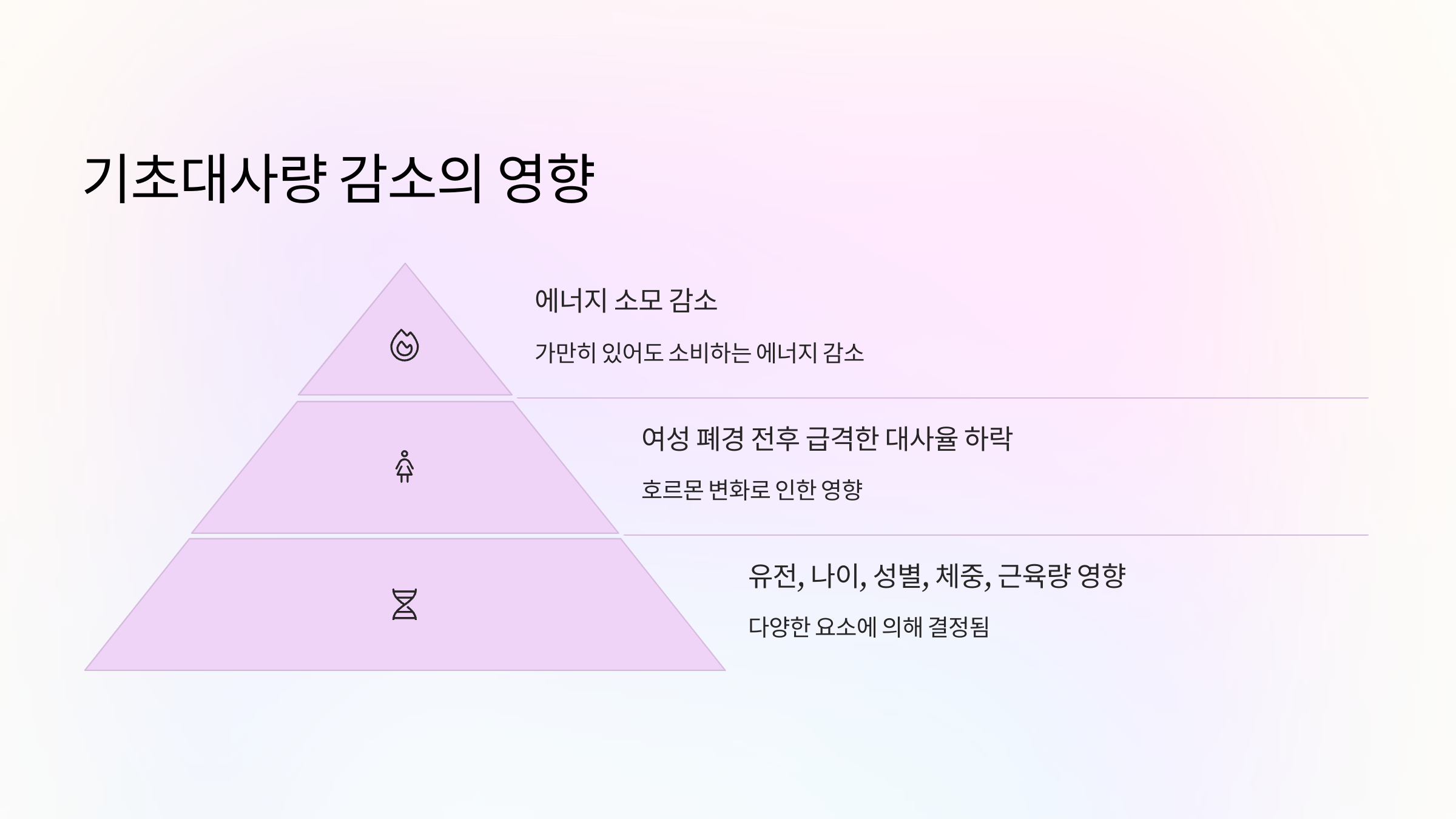 🍽️ 기초대사량 감소의 영향