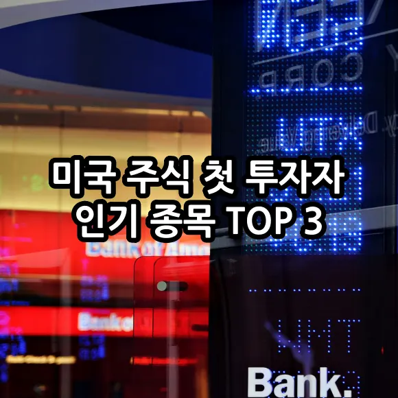 미국 주식 첫 투자자 인기 종목 top 3