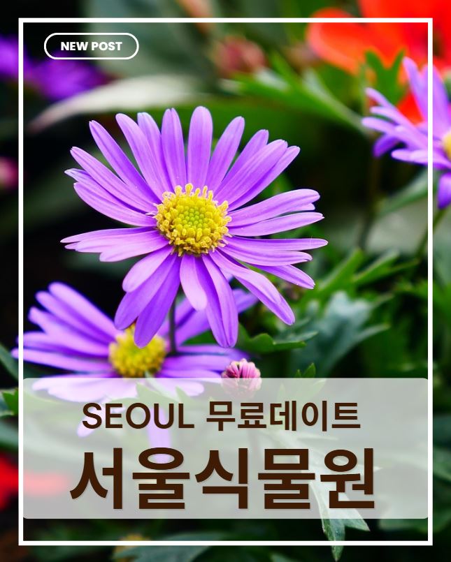 서울식물원 완벽 가이드|온실·주제원·산책 코스·가는 법 총정리