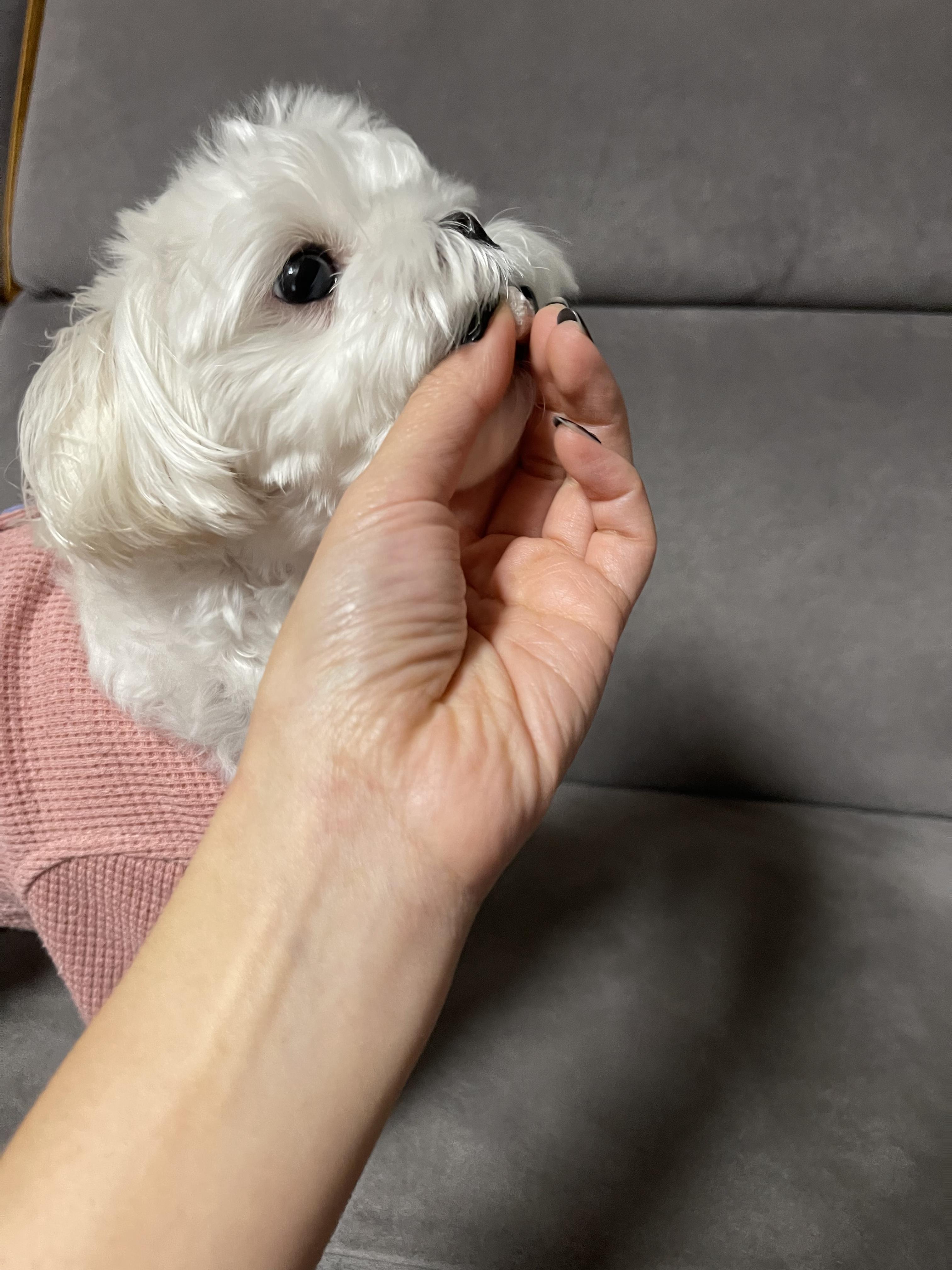 눈물자국약후기