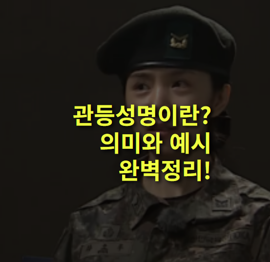 관등성명이란? 뜻, 의미, 사용 상황과 예시 알아보자.