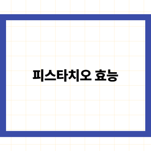 피스타치오 효능