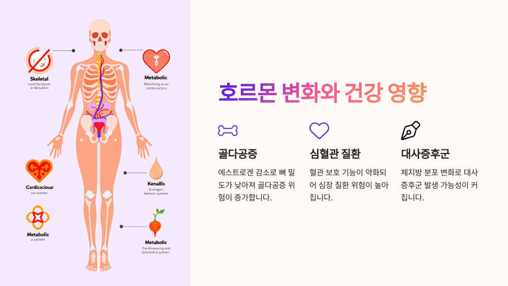호르몬 변화와 건강 영향