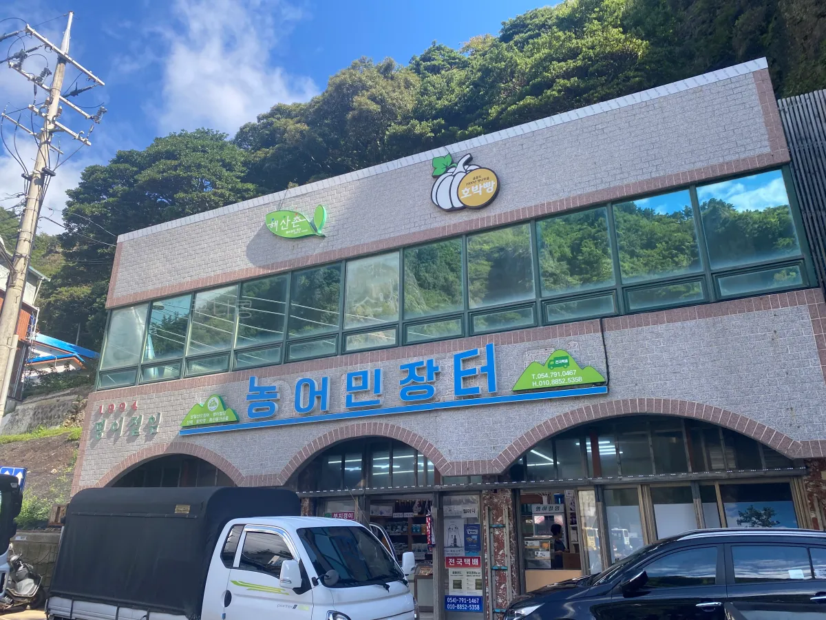 울릉도-독도여행-준비물,-배편-예약-꼭-확인할것(시간-계산-잘못해서-5만원-날림)