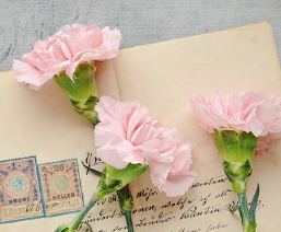 겨울철 타이어 적정 공기압