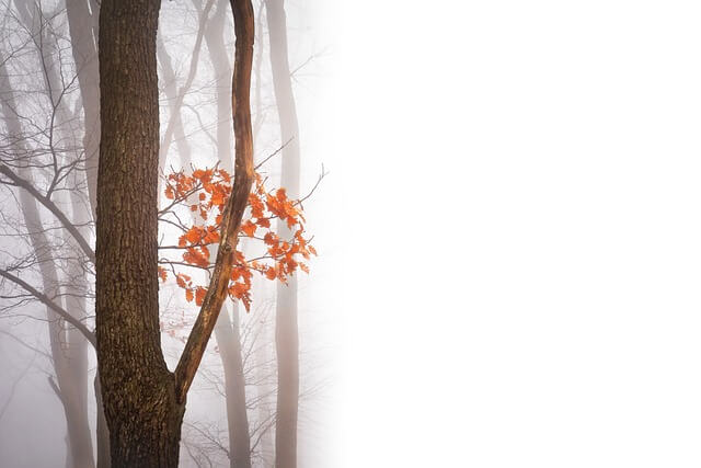 설악산