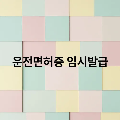 운전면허증 임시발급