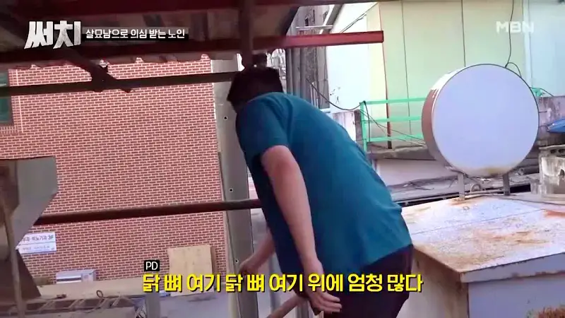 써치 8년간 천여마리 죽인 대전 신탄진 고양이 살해남의 정체
