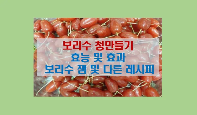 보리수청 만들기 및 효능 효과