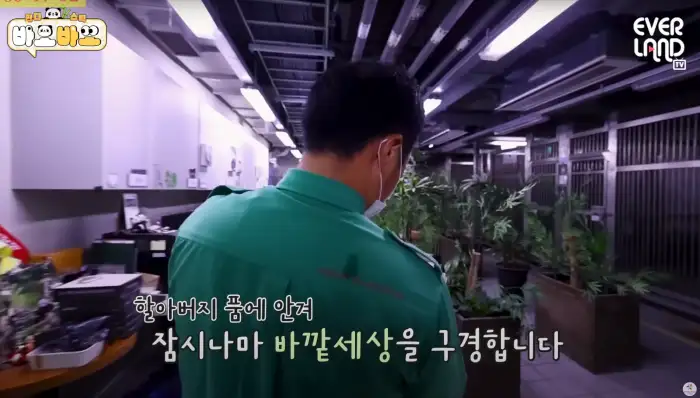 아기바이오-판다