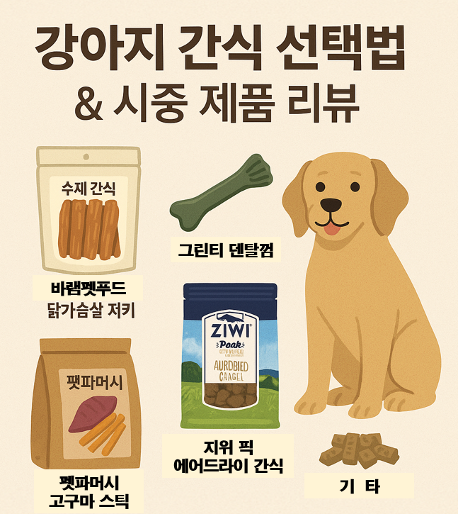 강아지 간식 선택법 이미지