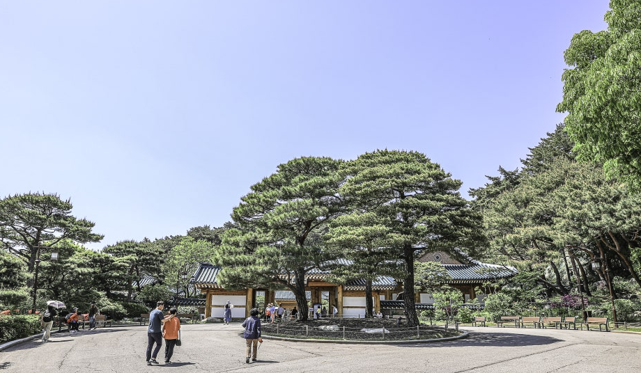 청와대 관람 신청, 주차, 추천 코스 총정리 (2025 최신판) 놓치면 후회!