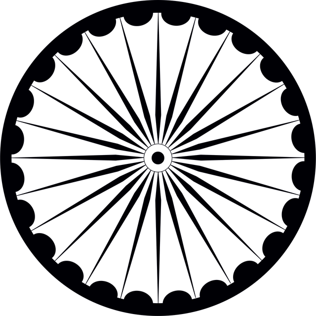 검정색의 둥그런 바퀴가 있다. 바퀴 안에는 철로 된 지지대들이 많다.
