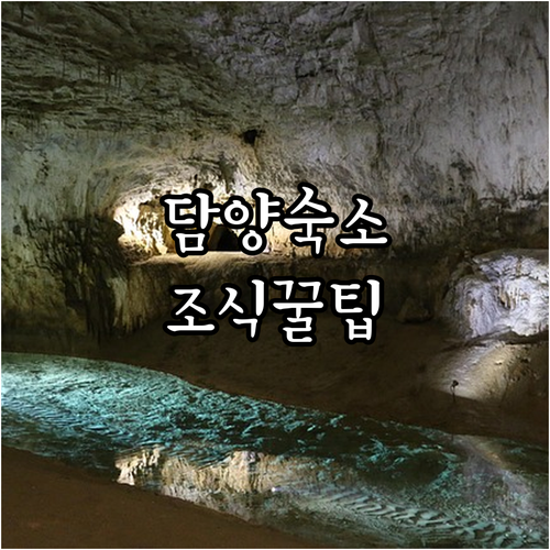 담양 메타프로방스 근처 숙소와 조식 ..