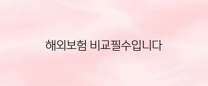 해외여행자보험 가격비교 및 인터넷 가입