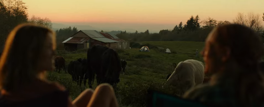 영화-와일드-wild