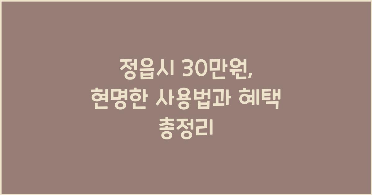 정읍시 30만원
