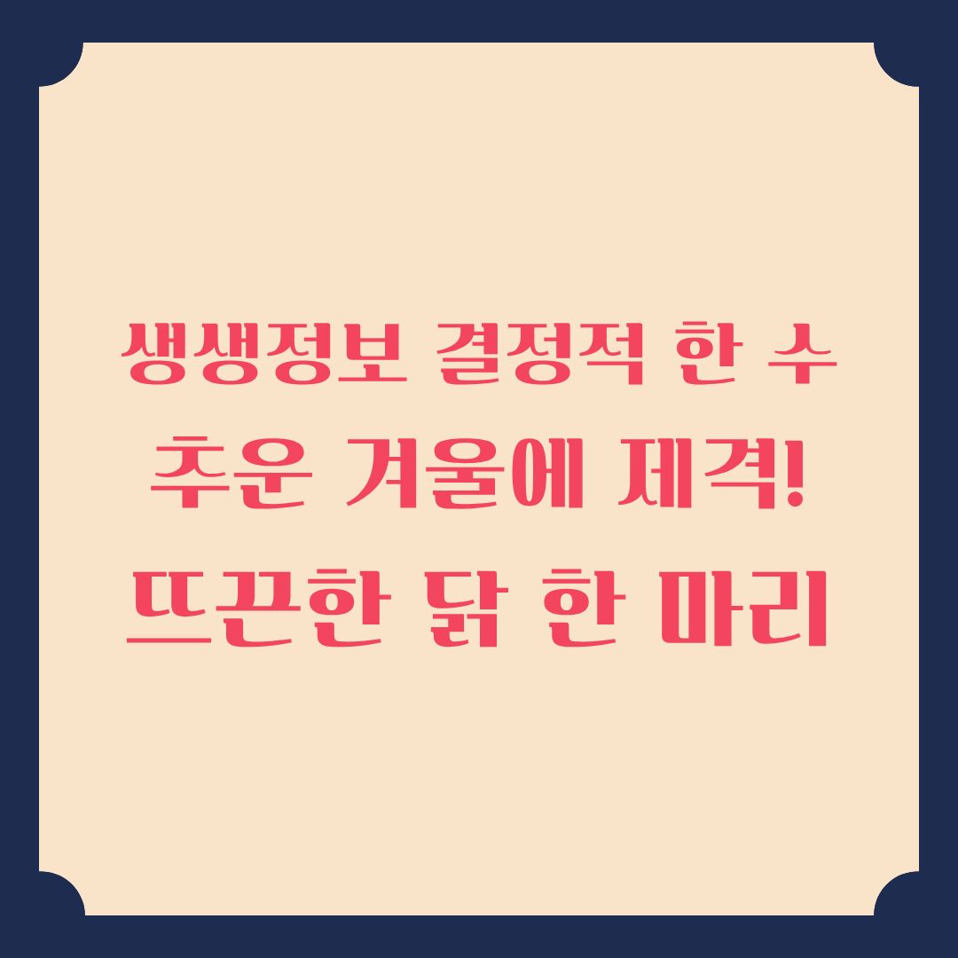 생생정보 결정적 한 수 추운 겨울에 제격! 뜨끈한 닭 한 마리