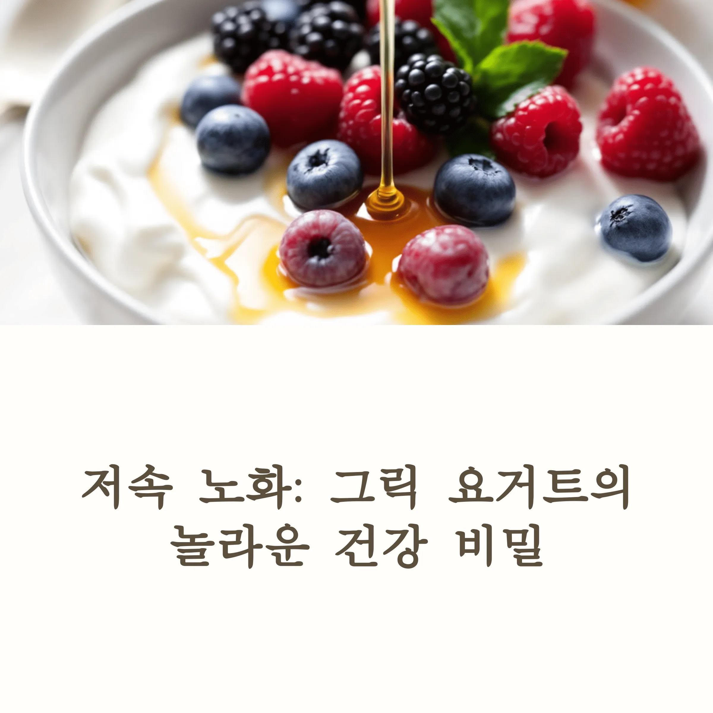 저속노화 식단의 핵심, 그릭요거트가 답