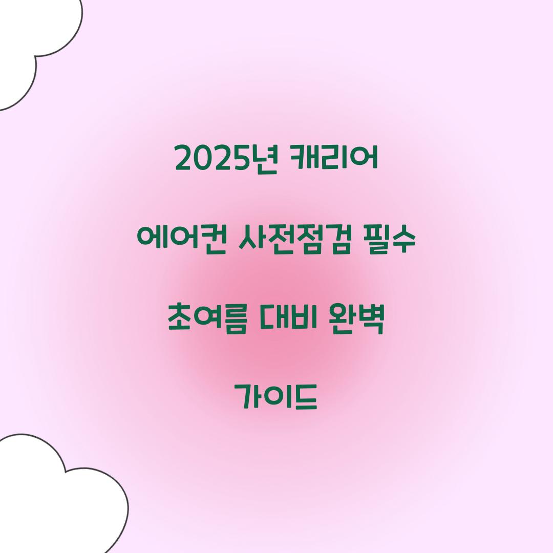 2025년 캐리어 에어컨 사전점검