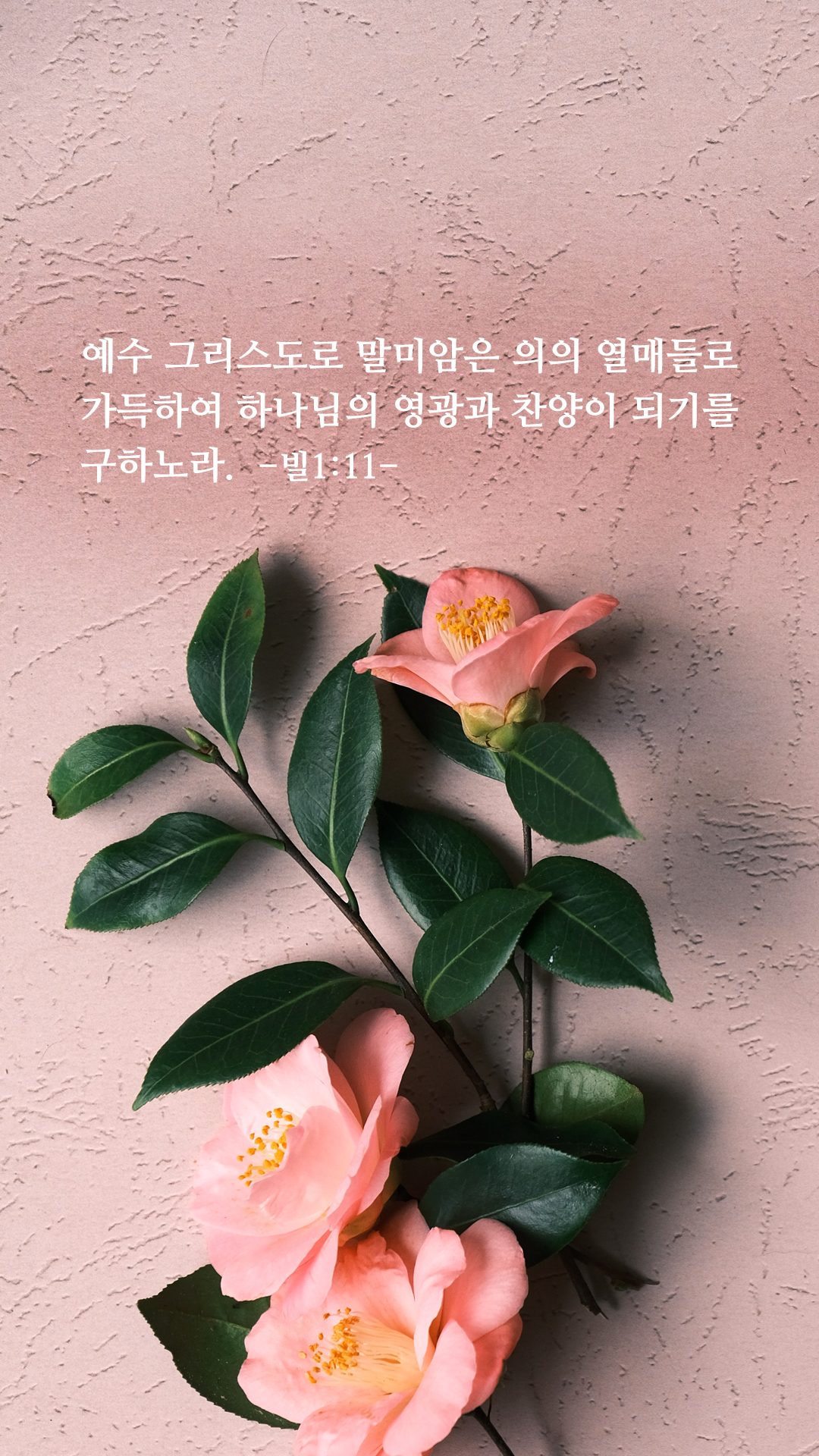 성경구절 배경화면