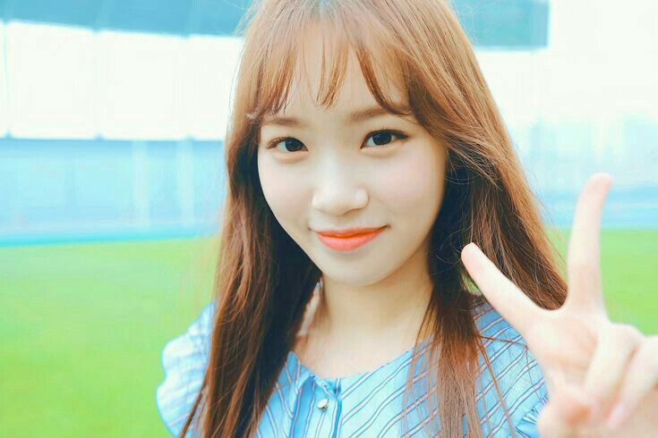 김채원 사진 모음