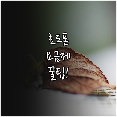 어르신 스마트폰 요금제, 통신비 절약..