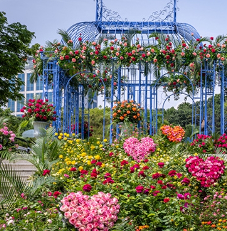 2025 서울국제정원박람회