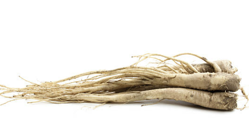 기침 감기 빨리 낫는 법 좋은 음식 추천