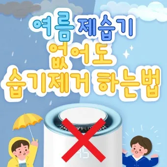 제습기 없이 습기 제거 끝 숯 염화칼슘 등 천연 제습제 활용법 완벽 가이드_23