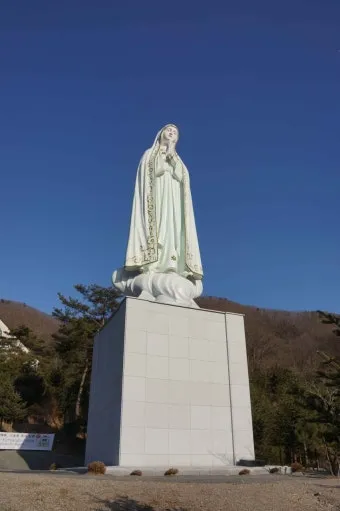 천진암 흰민들레 백양자연관찰로 괭이눈 개화_22