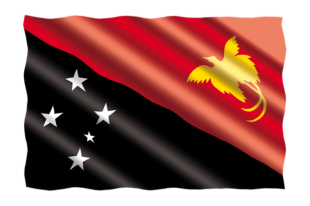 미지의 땅, 오세아니아의 보석: 파푸아뉴기니 시그리 쥬얼 커피, 원시림 속 섬세한 향미의 결정체