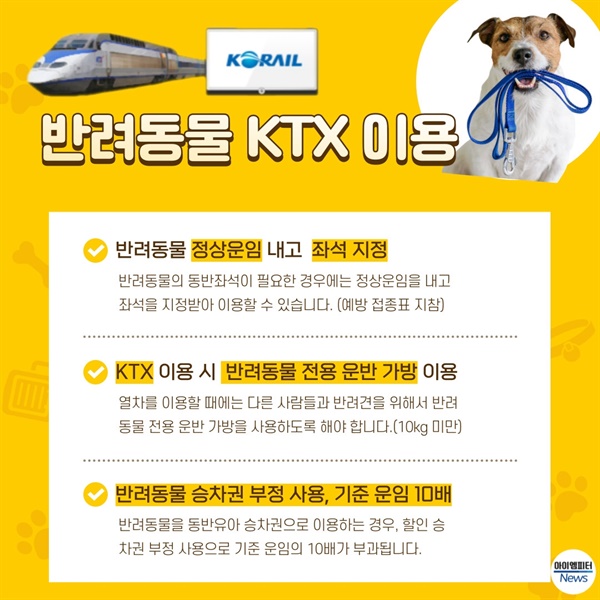 반려동물 KTX 이용