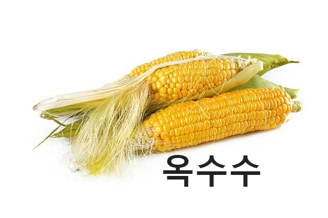 옥수수
