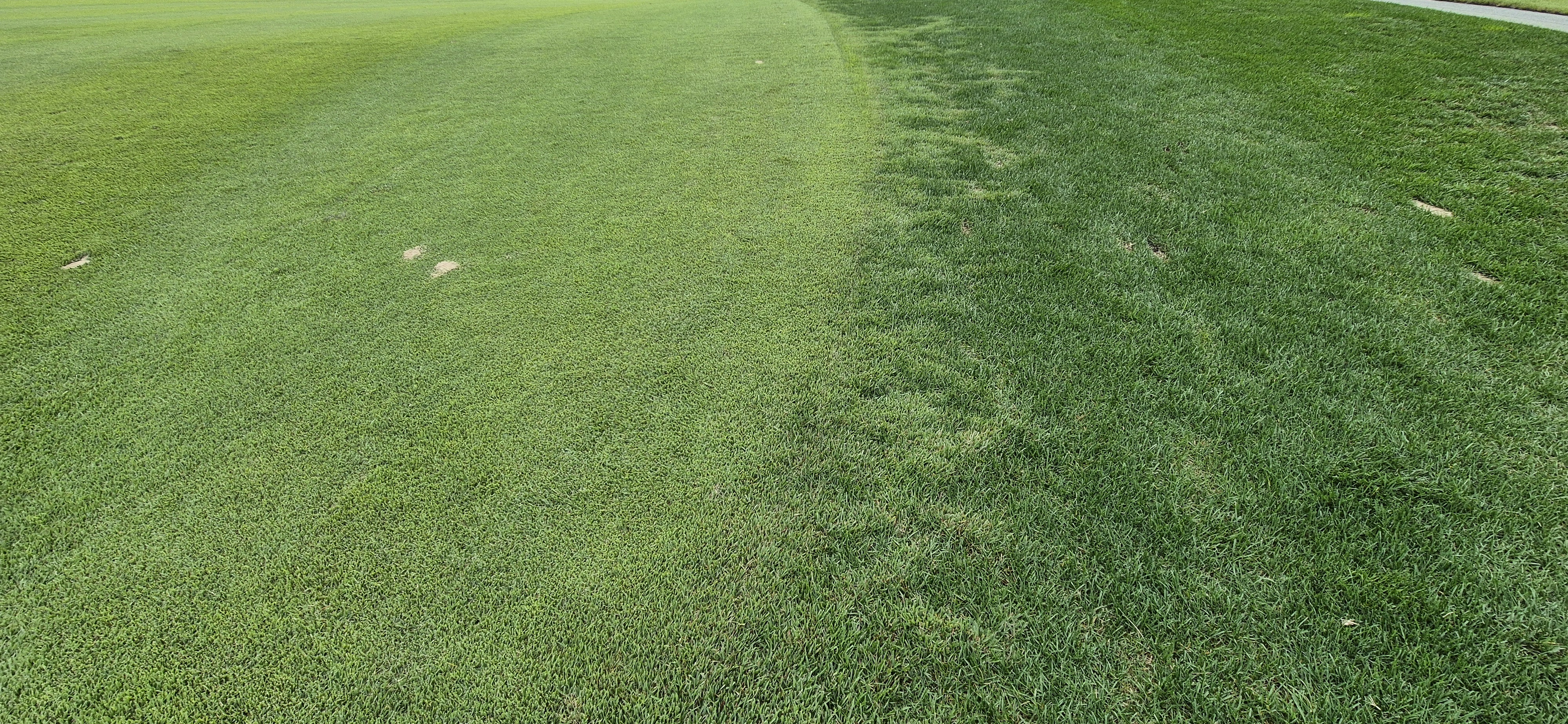 소노팰리체cc이스트