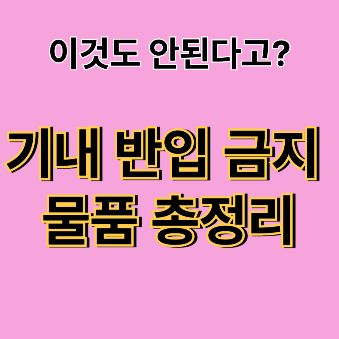 비행기 기내 반입 금지 물품 총정리