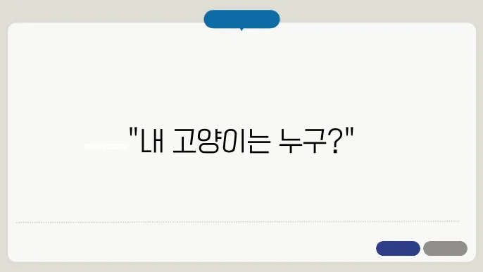 어떻게 고르지? 먼치킨 vs 샴 vs 랙돌, 가장 나에게 맞는 고양이는?