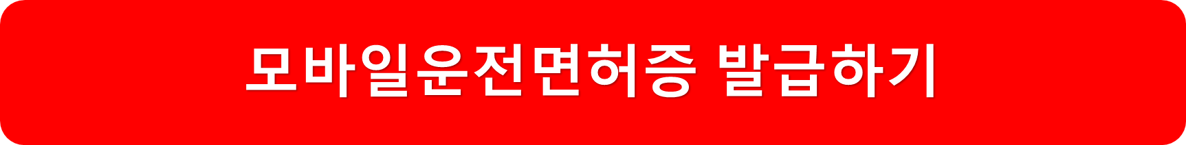 모바일운전면허증발급