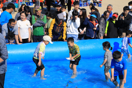 부산축제