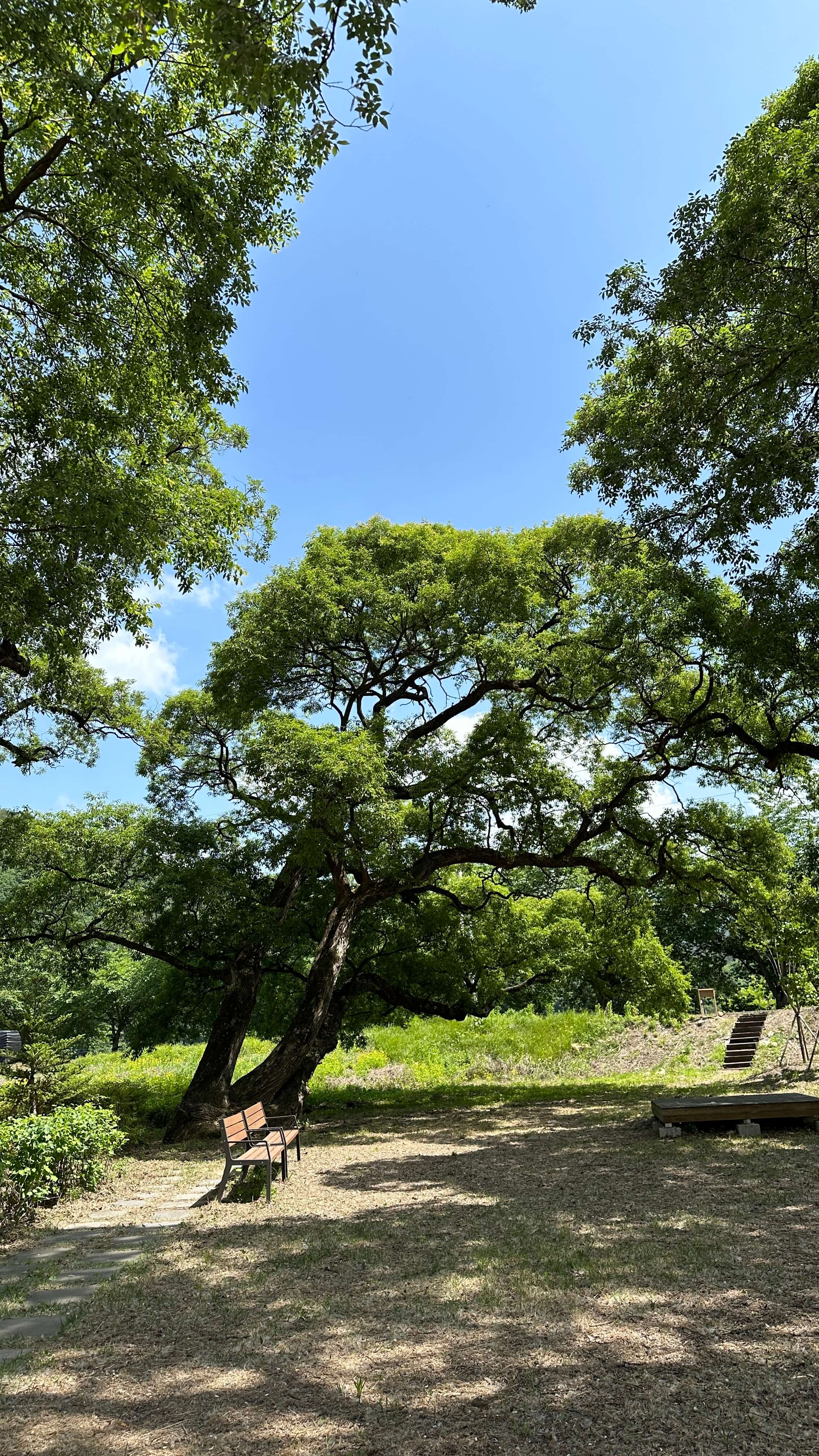 윌로우파크 커피