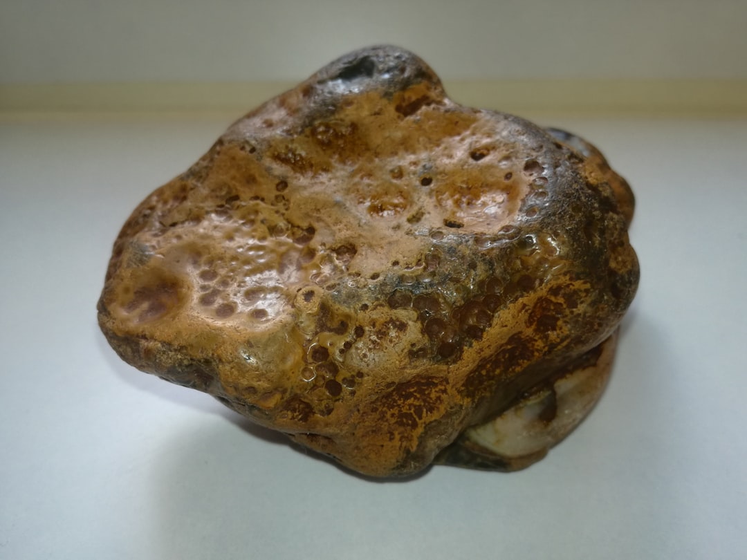 Paleolithic
