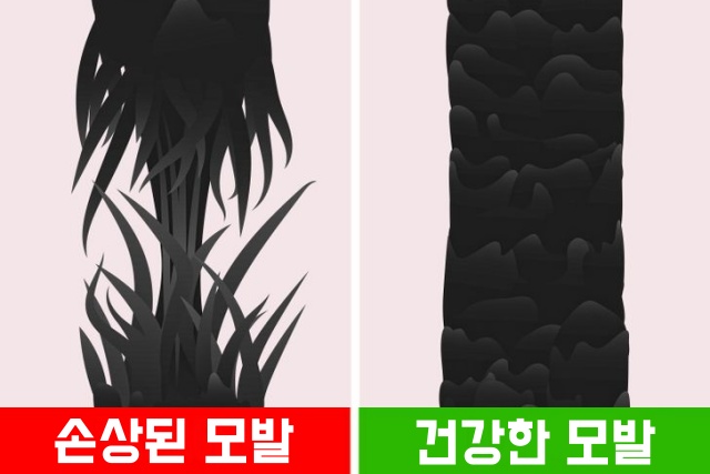 염색 파마 열펌 고데기 머리 손상 확인하는 방법, 뷰티 생활 건강 팁줌 매일꿀정보