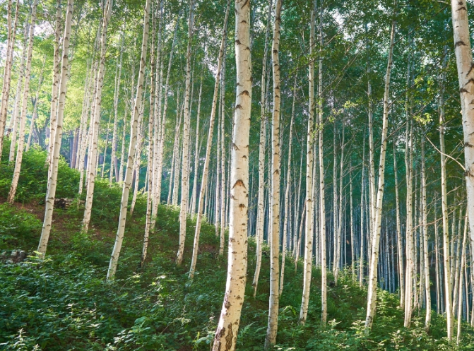 강원도 가볼만한곳 베스트10