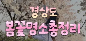 경상도 봄여행 가볼만한곳 베스트 10 완벽 여행 가이드_20