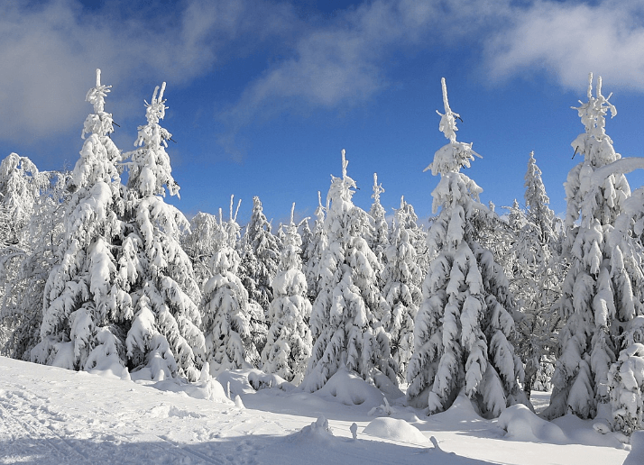 겨울 해외 여행 추천